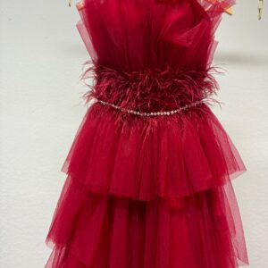 “Crimson Feather Cascade” Gown